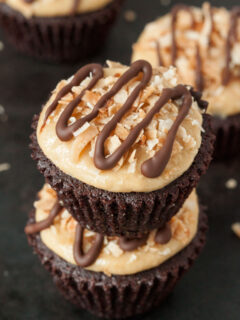 Gluten Free Peanut Butter Brownies Picture