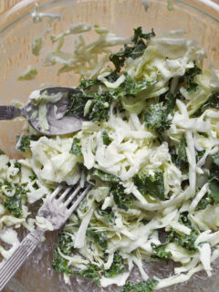 Healthy Coleslaw Image