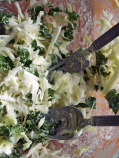 Healthy Coleslaw Picture