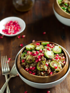 Roasted Brussels Sprouts Quinoa Salad Image