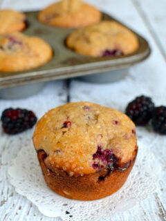 Blackberry Yogurt Muffins Image