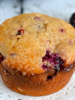 Blackberry Yogurt Muffins Photo