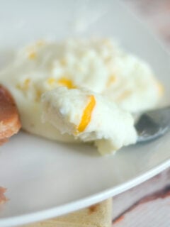 Cheesy Baked Mashed Potatoes Photo