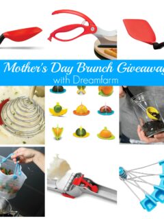 Dreamfarm Giveaway Photo