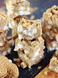 Fluffernutter Fudge Picture