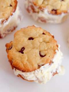 Gluten Free Ice Cream Sandwiches Photo