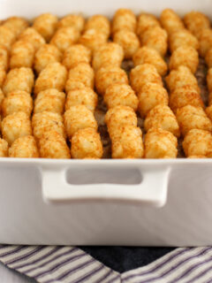 Gluten Free Tater Tot Casserole Photo