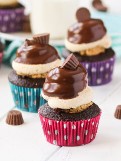 Peanut Butter Cup Cupcakes Photo