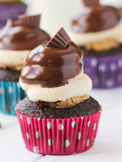 Peanut Butter Cup Cupcakes Picture