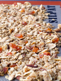Apricot Granola Picture