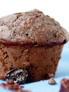 Healthy Chocolate Muffins Photo