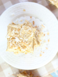Peanut Butter Coconut Blondies Photo