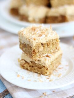 Peanut Butter Coconut Blondies Picture