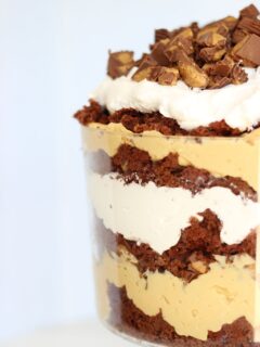 Peanut Butter Cup Trifle Pic
