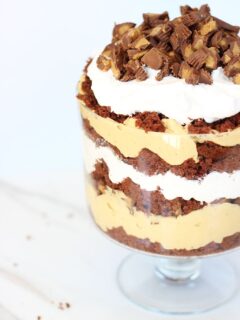 Peanut Butter Cup Trifle Picture