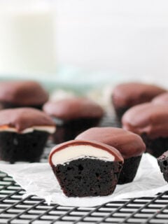 Peppermint Patty Brownie Bites Photo