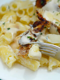 Blackened Chicken Alfredo Image