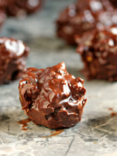 Chocolate Fruit & Nut Clusters Photo