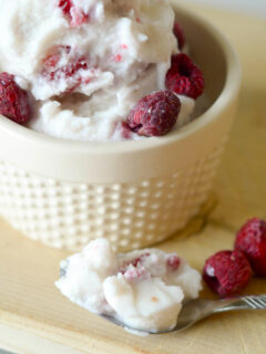 Gluten Free Raspberry Vanilla Ice Cream Image