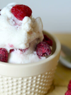 Gluten Free Raspberry Vanilla Ice Cream Photo
