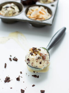 Toasted Coconut Ice Cream Pic