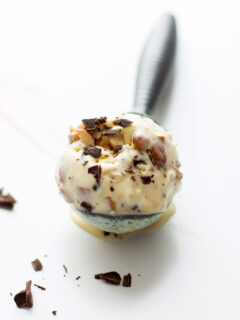 Toasted Coconut Ice Cream Picture