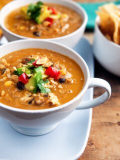 Blender Tortilla Soup Picture