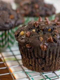 Double Chocolate Zucchini Muffins Photo