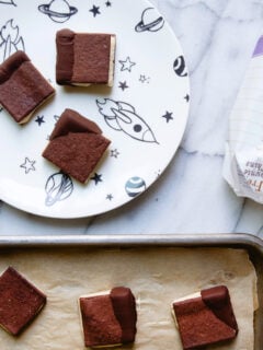 Gluten Free Chocolate Banana Ice Cream Sandwiches Photo