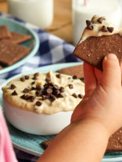 Gluten Free Cookie Dough Dip Pic