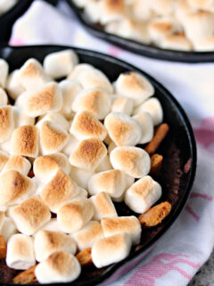 S'mores Brownies Picture