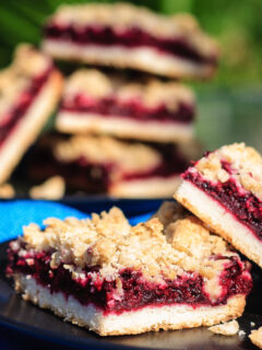 Blackberry Crumble Bars Image