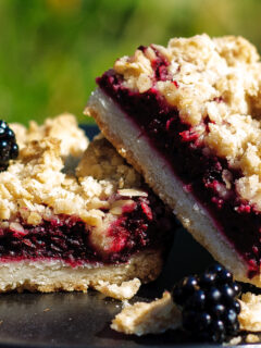 Blackberry Crumble Bars Photo