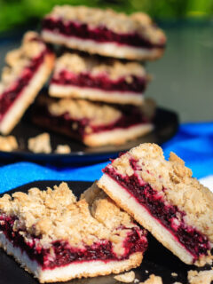 Blackberry Crumble Bars Picture
