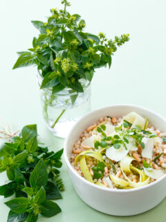 Deconstructed Pesto Couscous Salad Image