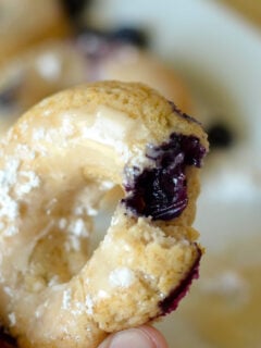 Gluten Free Baked Blueberry Donuts Photo