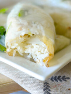 Gluten Free Spring Rolls Pic