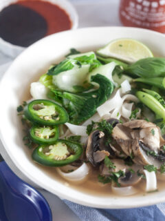 Vegetable Pho Pic