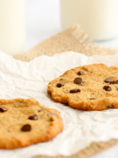 Coconut Flour Cookies Image