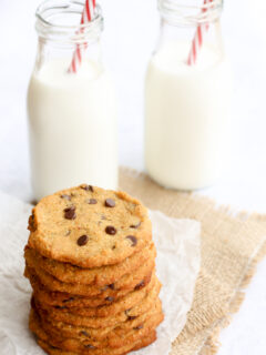Coconut Flour Cookies Picture