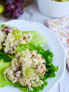 Paleo Chicken Salad Picture