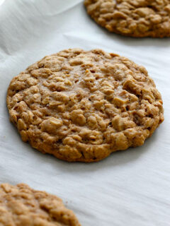 Pumpkin Spice Oatmeal Cookies Picture