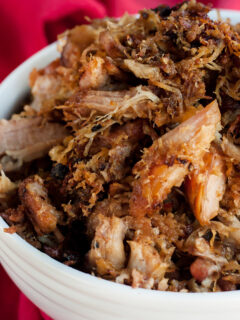 Gluten Free Crispy Carnitas Image