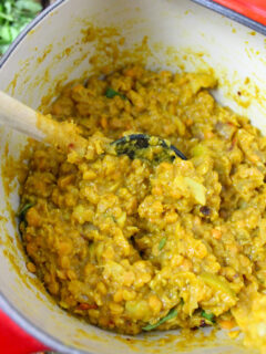 Spicy Pumpkin Lentils Picture