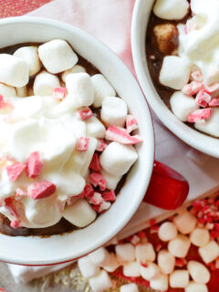Boozy Slow Cooker Peppermint Hot Chocolate Image