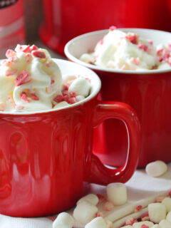 Boozy Slow Cooker Peppermint Hot Chocolate Photo