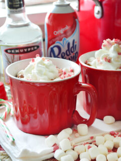 Boozy Slow Cooker Peppermint Hot Chocolate Pic