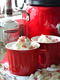 Boozy Slow Cooker Peppermint Hot Chocolate Picture