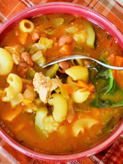 Chicken Minestrone Soup Photo