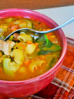 Chicken Minestrone Soup Picture